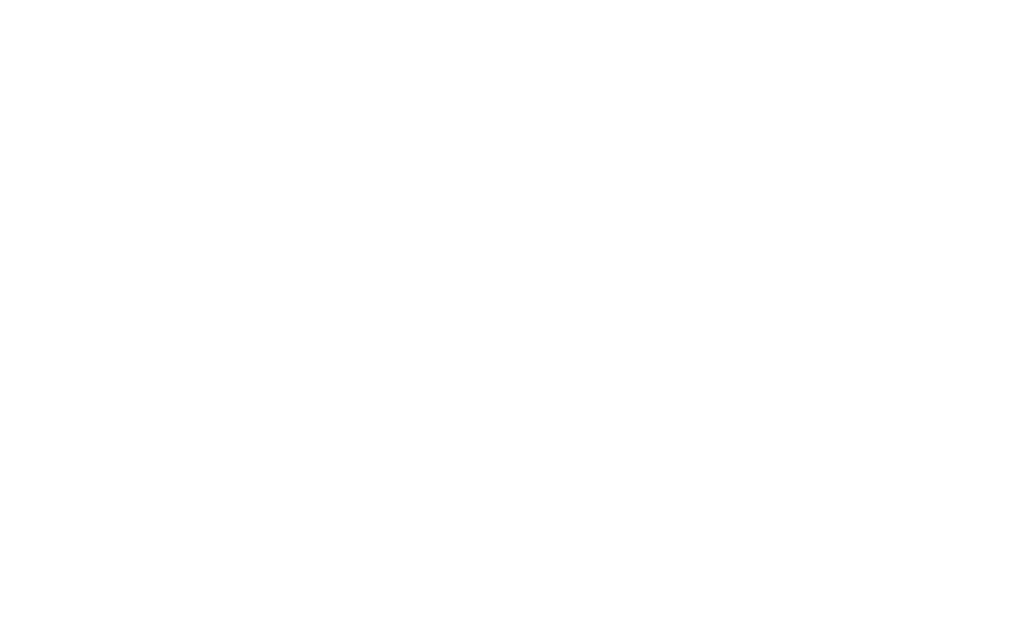 Veleno Guitars